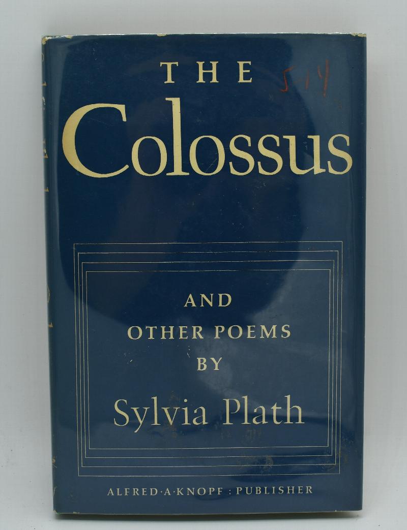 Image for The Colossus
